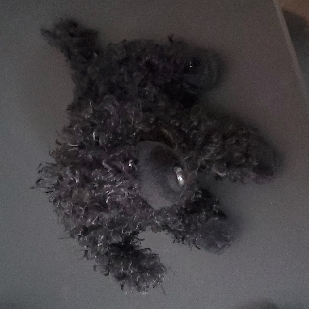Ty Smudges Black Poodle Beanie Baby